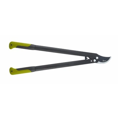 Peut-on utiliser un sécateur pour tailler les rosiers ?